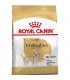 Royal Canin غذای خشک سگ بالغ Chihuahua یک و نیم کیلوگرم رویال کنین