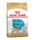 Royal Canin غذای خشک توله سگ Poodle سه کیلوگرم رویال کنین