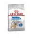 Royal Canin غذای خشک سگ بالغ Mini برای رفع اضافه وزن سه کیلوگرم رویال کنین