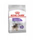 Royal Canin غذای خشک سگ بالغ Mini عقیم شده سه کیلوگرم رویال کنین