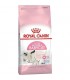 Royal Canin غذای خشک گربه بالغ مادر و بچه گربه 2 کیلوگرم رویال کنین