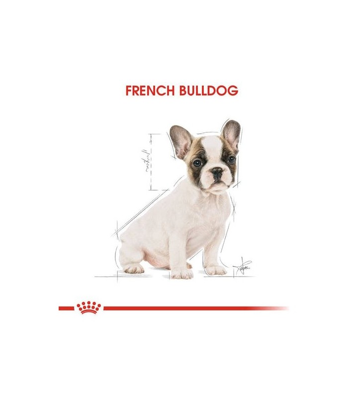 Royal Canin غذای خشک توله سگ French Bulldog سه کیلوگرم رویال کنین