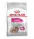 Royal Canin غذای خشک سگ بالغ Mini برای رفع بد غذایی سه کیلوگرم رویال کنین