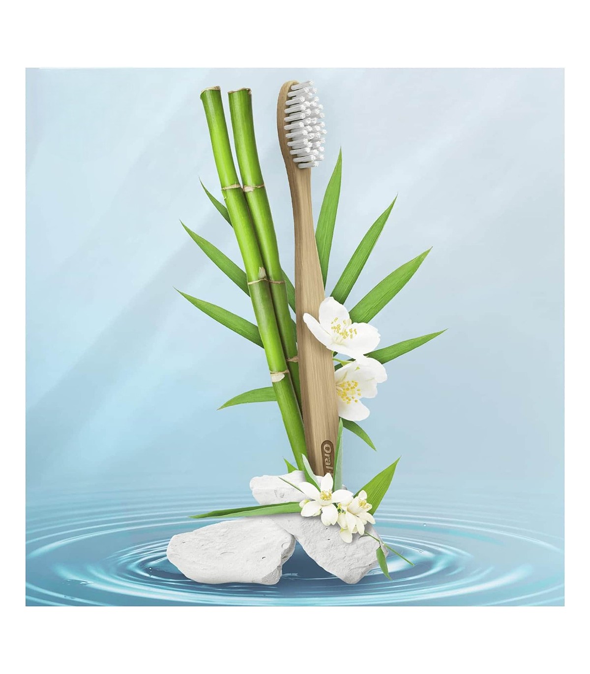 ORAL B مسواک ارگانیک گیاهی چوب بامبو درجه مدیوم اورال بی