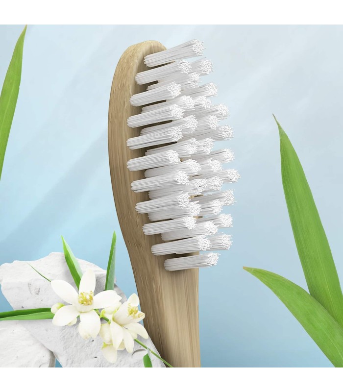 ORAL B مسواک ارگانیک گیاهی چوب بامبو درجه مدیوم اورال بی