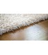 Astonish اسپری شامپوی فرش و مبلمان 750 میلی لیتر استونیش
